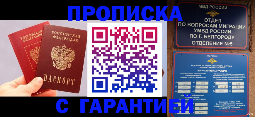 прописка 2025 в Алейске